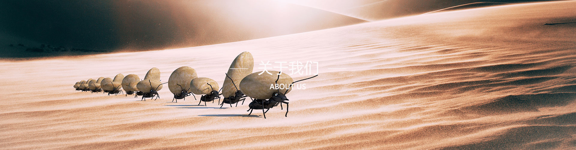 关于我们